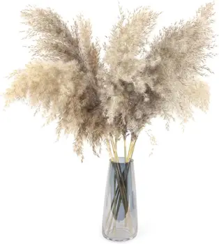 10buc Uscate Buchet de Flori Iarbă de Pampas Reed Fleurs Sechees Flores Flori Artificiale Decor Acasă de Crăciun Decorare Nunta