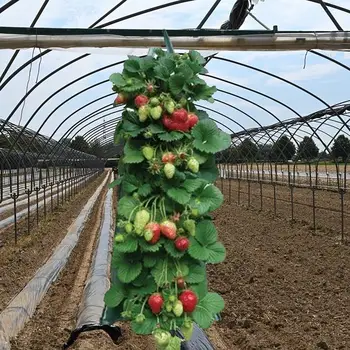Multi-Funcție Agățat De Tomate Cresc Sac Cu Susul În Jos De Plantat Capsuni Vegetal De Flori De Plante Cresc Saci De Grădină Ghiveci